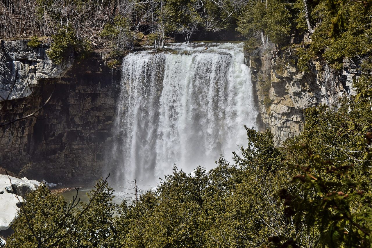 Eugenia Falls dropping over a rock lip into a wooded gorge
