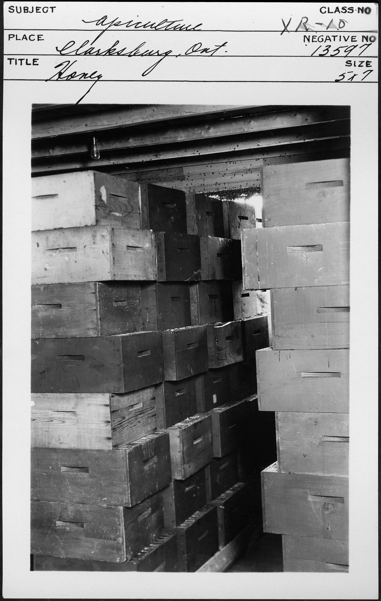 Archival photograph of honey production at Clarksburg around 1920