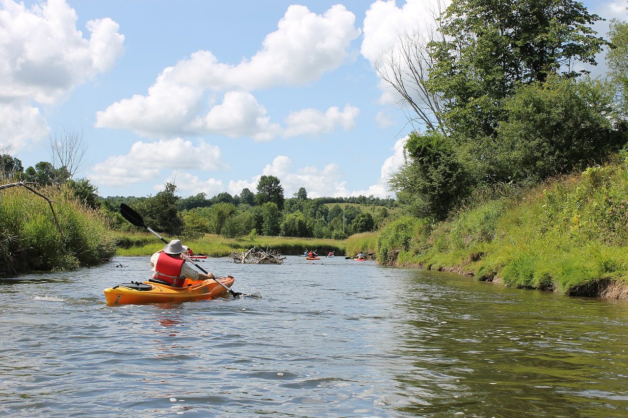 A kayaker paddling a calm stretch of the Beaver River between green banks